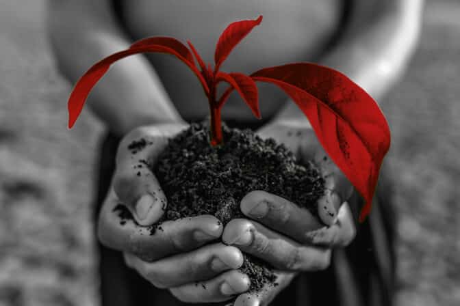 Müşterileriniz Sürdürülebilir Gelecek İçin Daha Fazlasını Ödemeye Hazır?