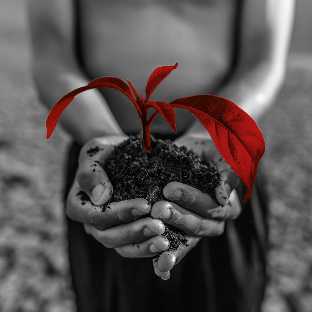 Müşterileriniz Sürdürülebilir Gelecek İçin Daha Fazlasını Ödemeye Hazır?